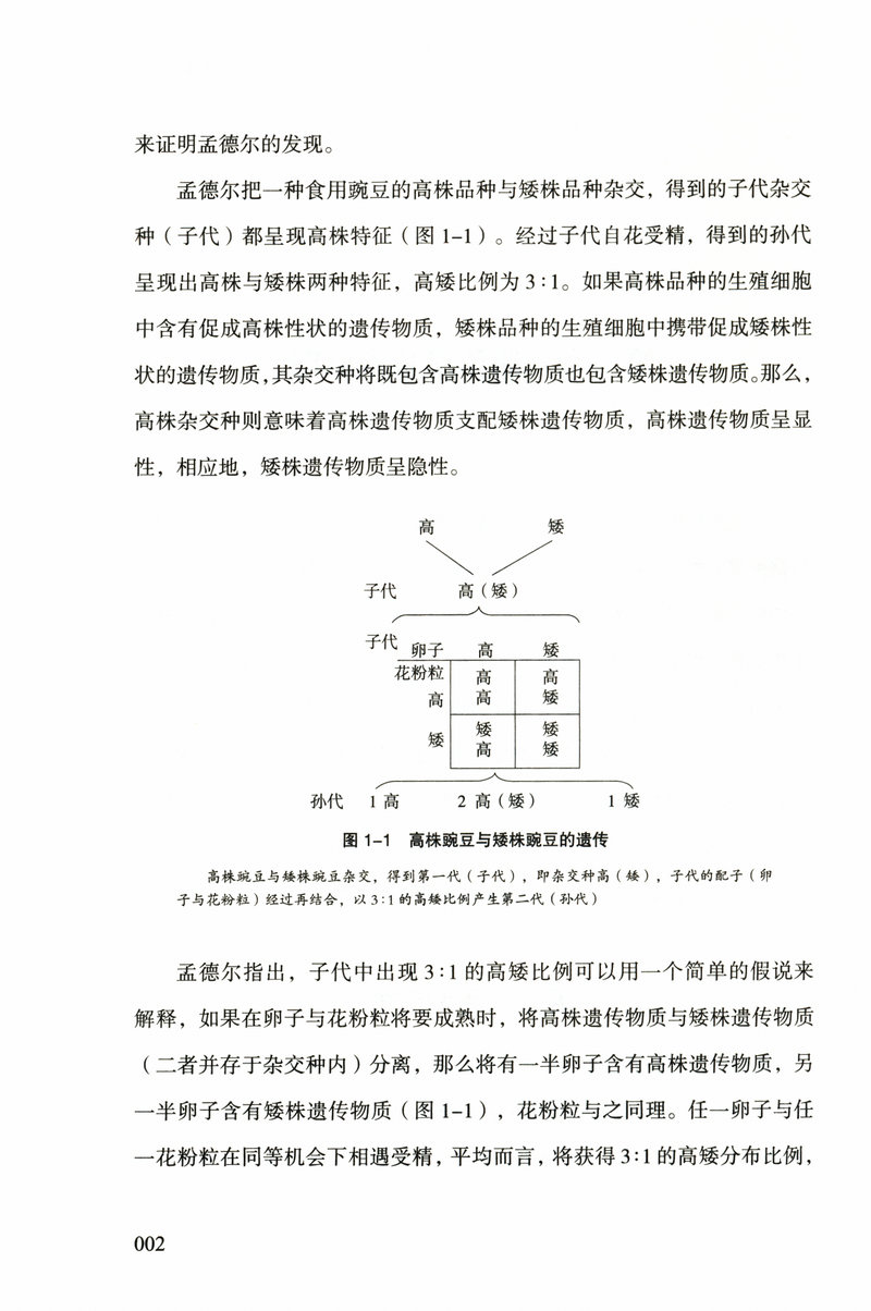 基因论 摩尔根的现代生物学染色体遗传理论著作 破解生命基因遗传的秘密 世界科普读本 - 图3