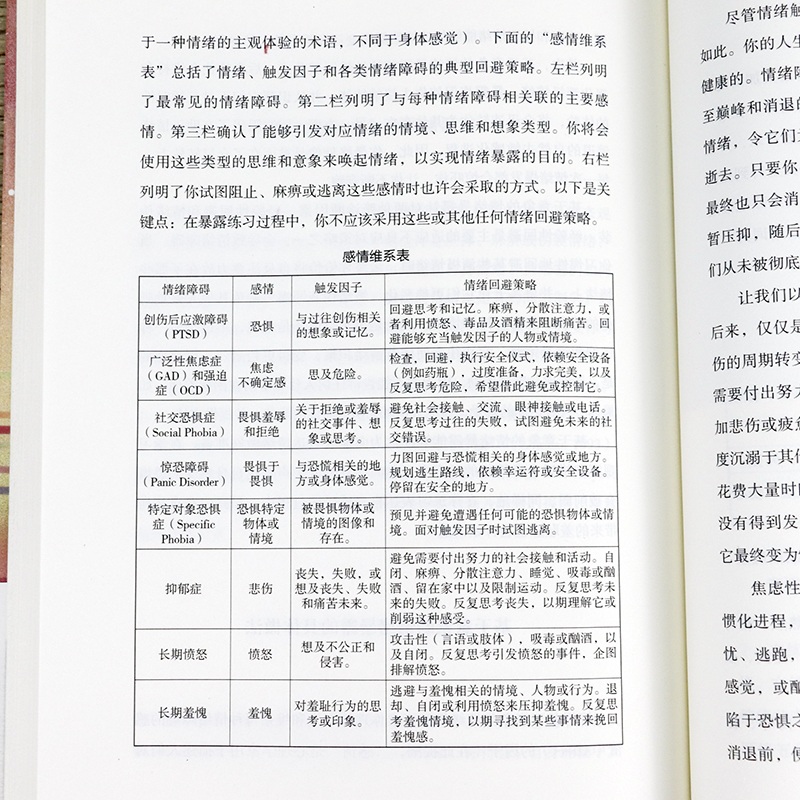 当情绪遇见心智马修麦克凯著比伯恩斯新疗法更全面恰到好处的安慰和高情商与控制力辩证行为积极的力量如何控制负面八周正念之旅书-图3