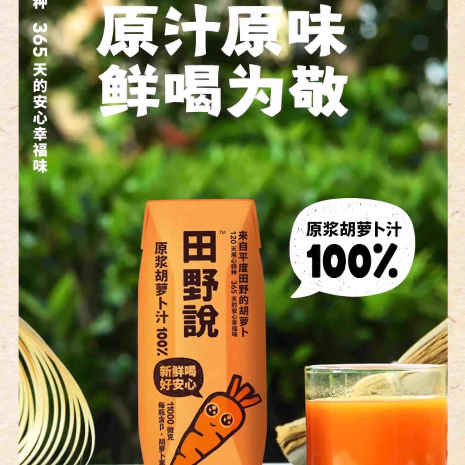 田野说纯胡萝卜汁儿童无添加轻断食纯果蔬汁混合蔬菜汁饮料10瓶 - 图0