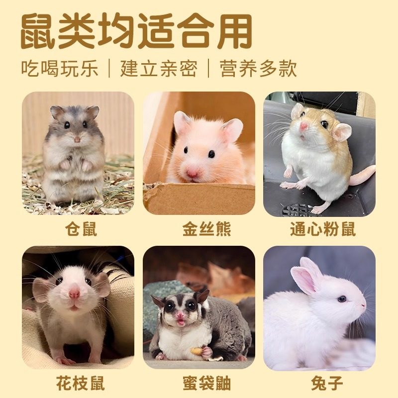 养小仓鼠的生活用品大全套装齐全金丝熊粮食木屑浴沙冬夏造景垫料,淘宝优惠券,粉丝福利购,淘宝优惠卷