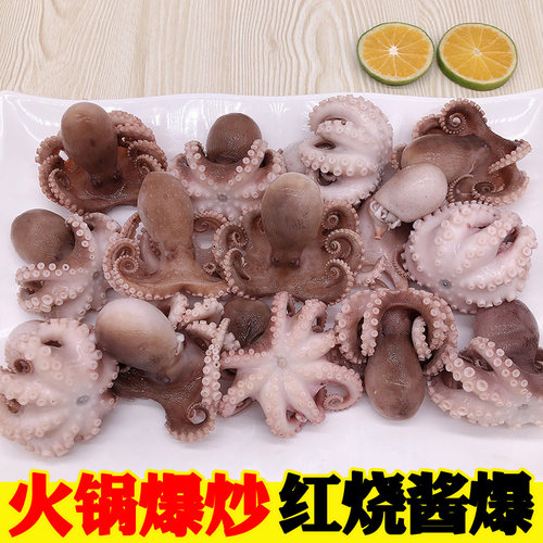 迷你八爪鱼海鲜鲜活小八爪鱼冷冻新鲜迷你小章鱼八抓鱼火锅食材 - 图2