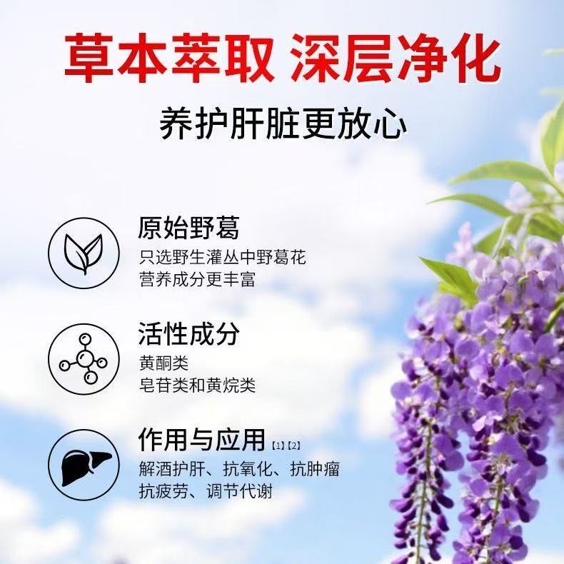 Beijing Tongrentang liver-protecting Jiuqing capsules official product