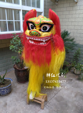 舞龙舞狮成人儿童小狮子整套