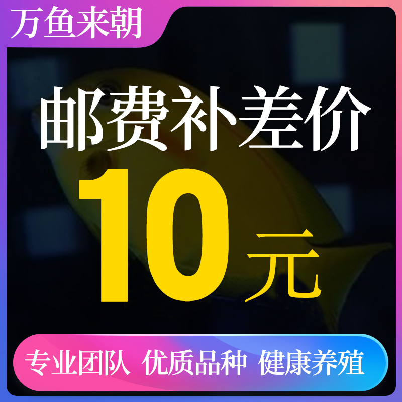 万鱼来朝尊贵补差链接顺丰运费补差活体不满200需要另外拍包装费-图3