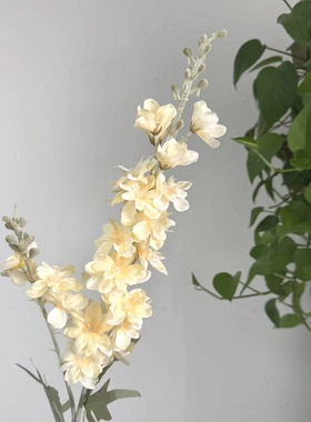 单支飞燕草风信子紫罗兰装饰花