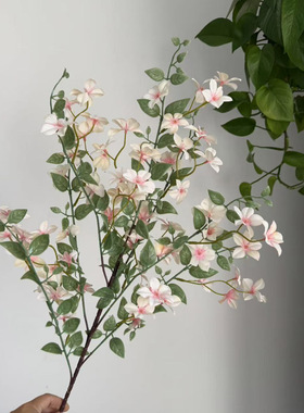仿真花七里香假花装饰小清新