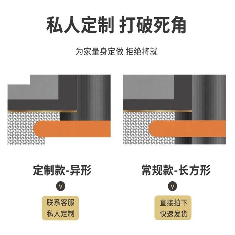 入户门垫进门口地垫耐脏免洗轻奢简约现代可擦可裁剪地毯新款脚垫