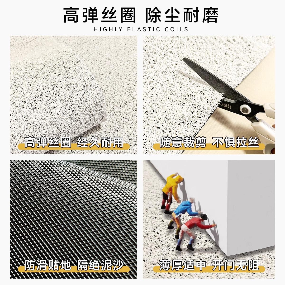 丝圈入户门地垫家用门口进门蹭土防滑脚垫玄关耐脏可裁剪天津地毯 - 图2