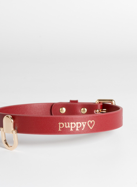 真皮项圈男女可调节定制刻字