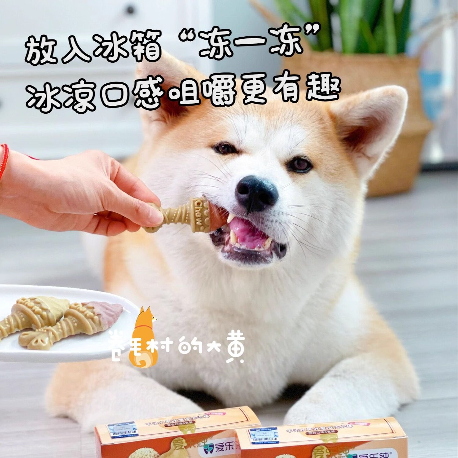 爱乐纯冰淇淋羊奶水果洁齿棒磨牙棒清洁牙齿去口气牙结石狗狗零食,淘宝优惠券,粉丝福利购,淘宝优惠卷