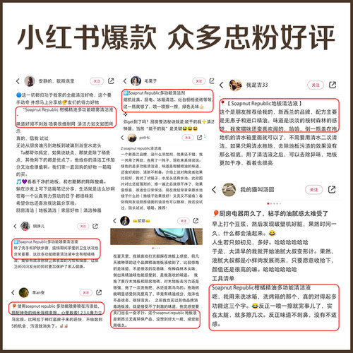 Soapnut Republic 茶树精油玻璃清洁液 - 图2