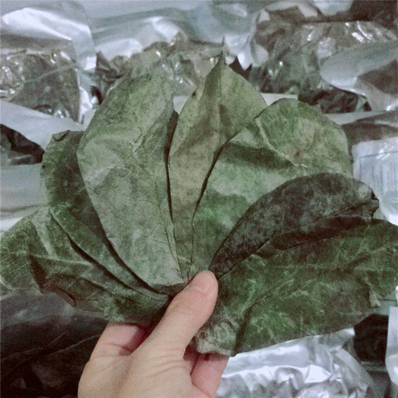 刺果番荔枝干叶子红毛榴莲干叶子茶Graviola释迦茶soursop1斤包邮-图0