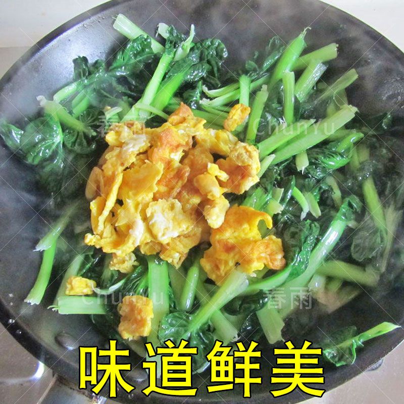 乌塌菜菜种塔菜种籽黑菜黄心四季春季农家乌踏菜籽蔬菜种子种孑 - 图1