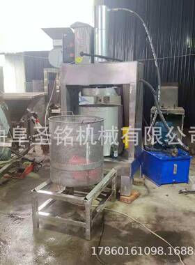 大型沙棘果冷榨压榨机 食品级油脂渣压滤机 双桶轮换式压汁机