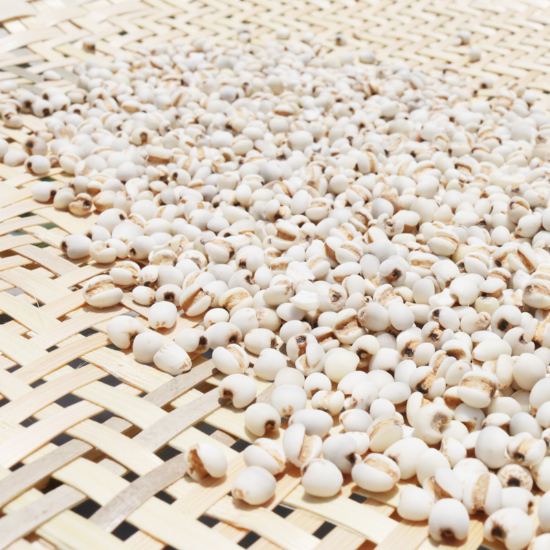 Farmer's Barley Kernel New Arrival White Fresh 500g