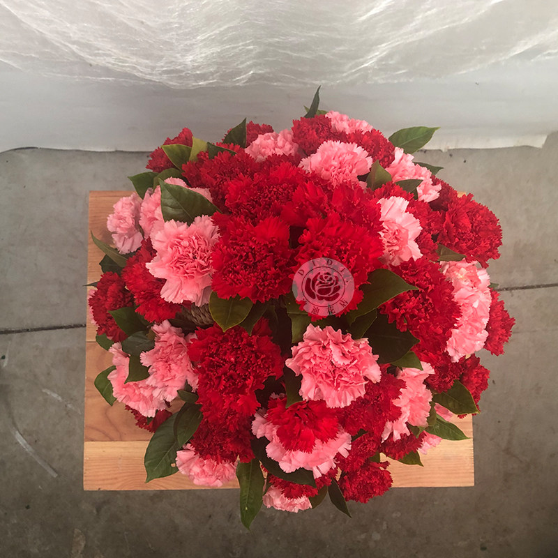 三八节康乃馨小花篮送长辈妈妈生日感谢老师礼物北京同城鲜花速递