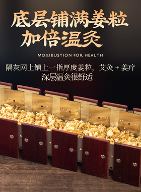 背部龙骨灸器脊柱督脉灸工具长蛇火龙灸艾绒隔姜铺姜灸箱脊椎后背