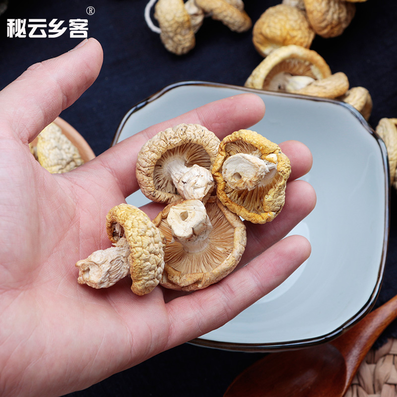 黄菇野生菌祁连黄菇青海特产野生食用菌蘑菇250g-图0