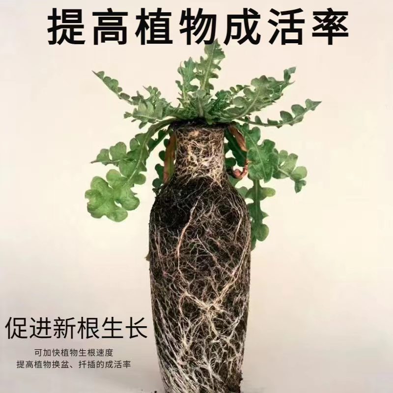 复合肥农用果树盆栽氮磷钾花肥料通用型种菜绿植硫酸镁三元肥料 - 图2