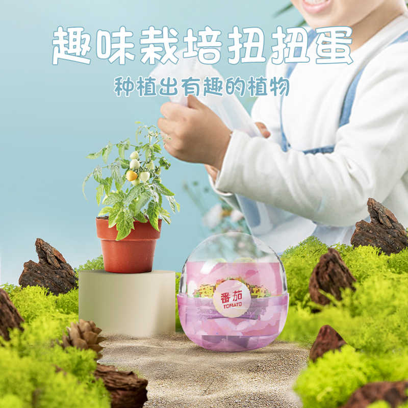 室内栽培植物 新人首单立减十元 22年8月 淘宝海外 室内栽培植物 新人首单立减十元 22年8月 淘宝海外
