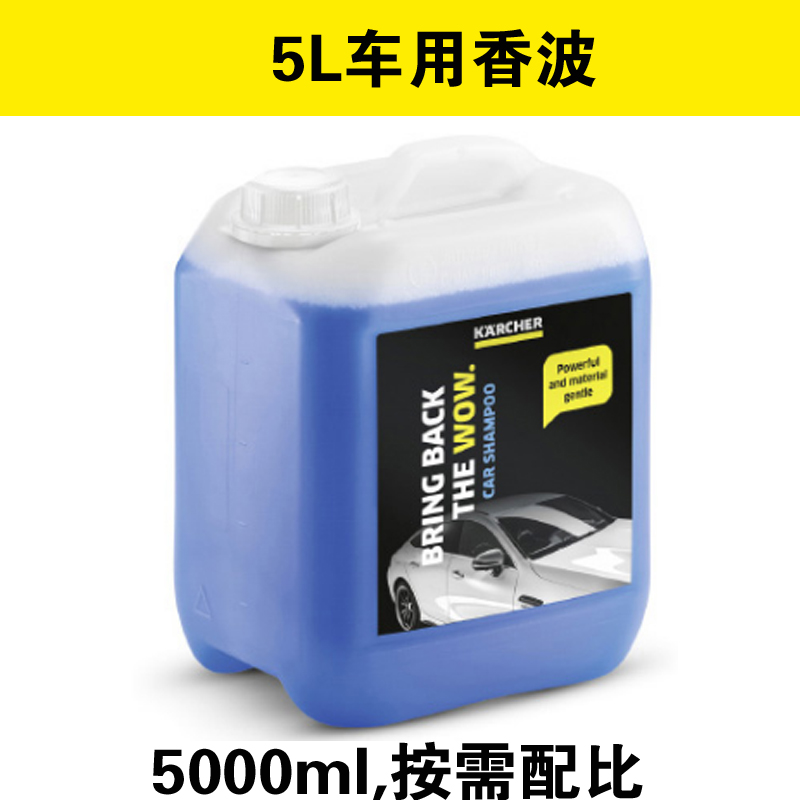 卡赫清洁剂puzzi8沙发地毯去污剂凯驰车用香波洗车液RM110除泡剂 - 图3