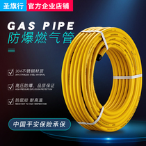 304 stainless steel gas gas gas liquefied gas pipe metal bellows hose whole volume buried wall 4 points