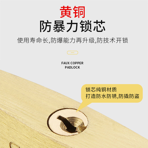 地球全铜加长挂锁柜子门锁防盗小锁头通开通用挂锁箱包锁电力锁 - 图2