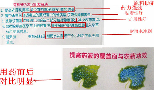 进口农用有机硅高渗透剂助剂增效剂助剂渗透强展着剂100ml500ml - 图1