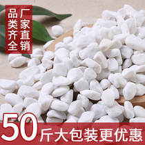 50 catty white pebble stones large cobblestone courtyard paved with small white stones for landscape white stones