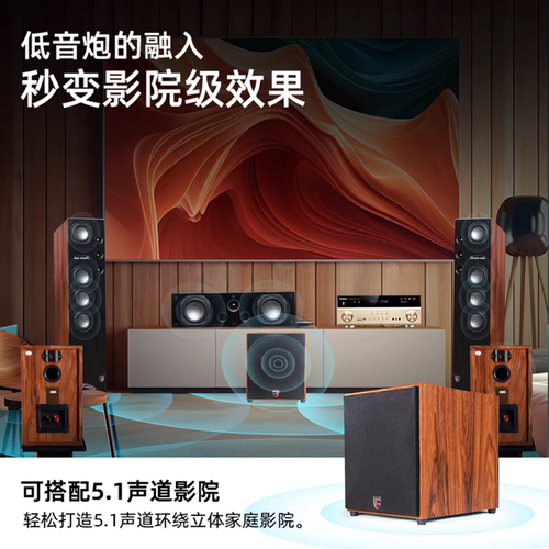 丹麦之笙 家用10寸/12寸有源低音炮音箱家庭影院大功率超重低音炮 - 图1