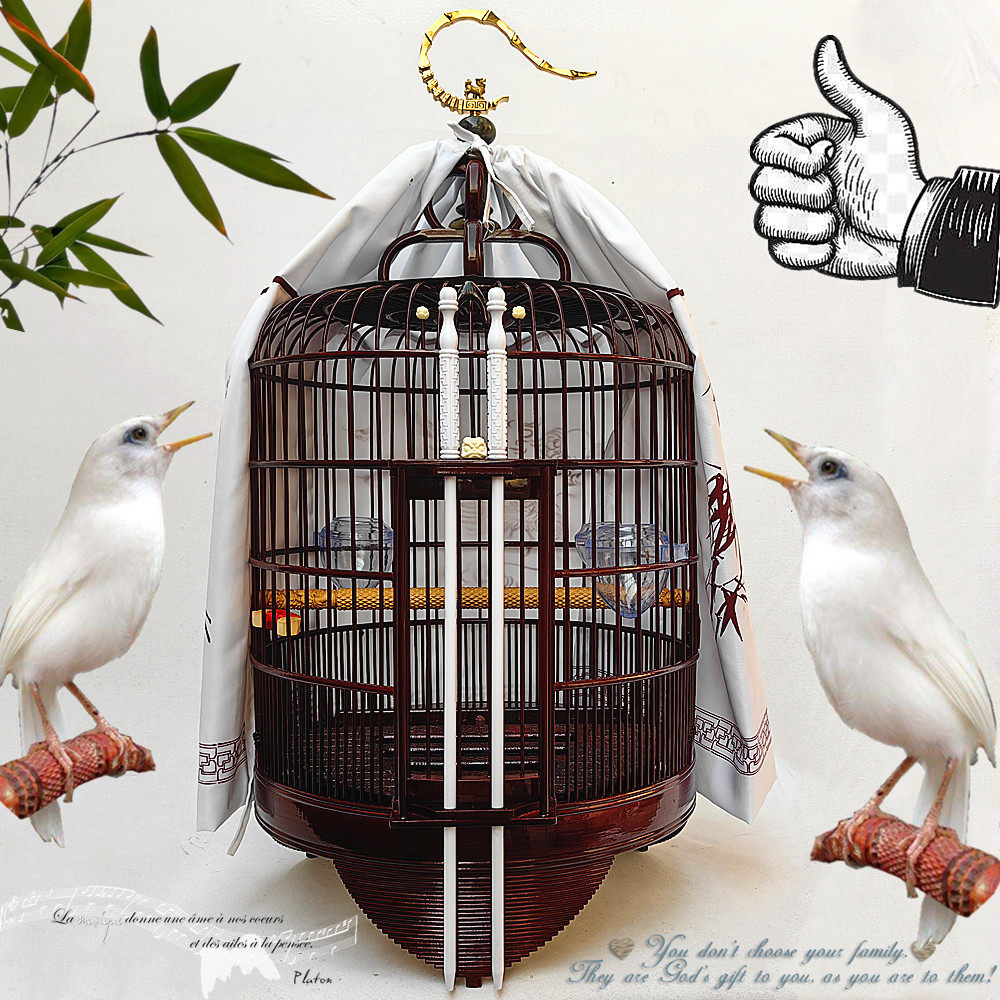 清仓新款高档老竹制酒红黑色广式画眉广笼八鹩哥精品抛光鸟笼全套