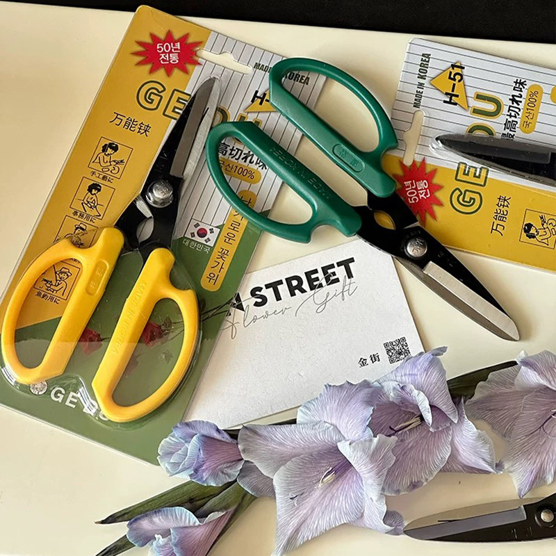 韩式花艺剪刀专用花艺师修剪花枝花艺插画修枝剪园艺工具家用剪刀,淘宝优惠券,粉丝福利购,淘宝优惠卷