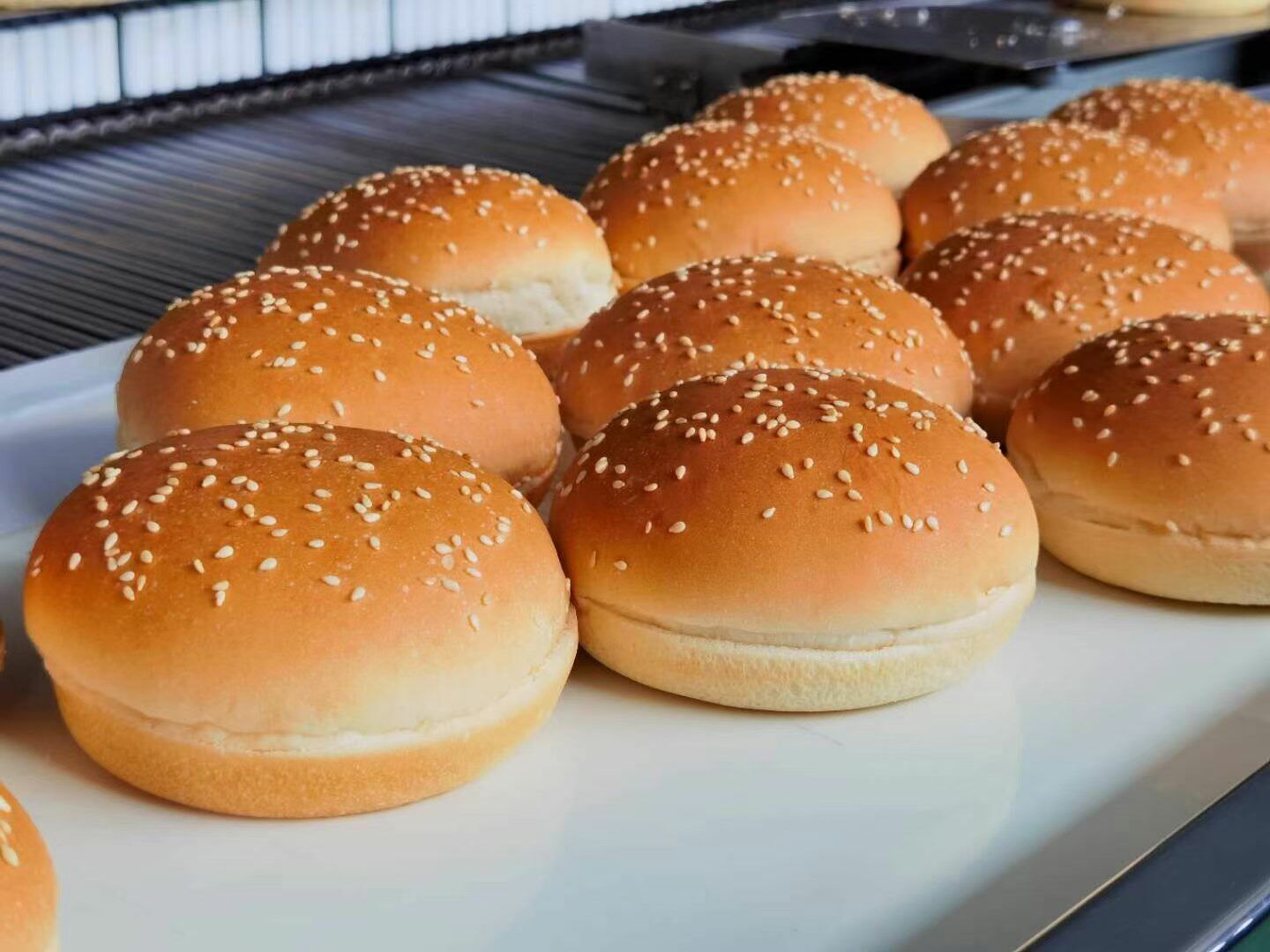 堡之家汉堡胚144个 汉堡面包胚 65克 汉堡坯子奶茶店江浙沪皖包邮