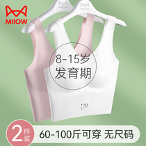 Cat Girl Child Lingerie Hair Nursery School Elementary School Girls Junior High School Girls Stage Adolescence Little Vest Bra