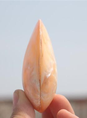 朋友海螺贝壳珍珠贝把件礼物天然小送家居装饰特色工艺品满包邮