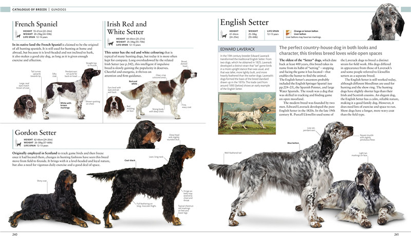 现货 The Dog Encyclopedia狗狗百科全书犬类品种介绍权威视觉指南犬类进化指南猎犬养护训练介绍 DK大百科英文原版_虎窝淘
