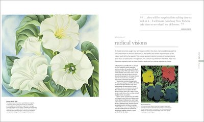 预售包邮大开本精装英文原版flora Inside Secret World Of Plants 花 植物的秘密世界探索植物世界的非凡多样性dk百科全书 虎窝淘