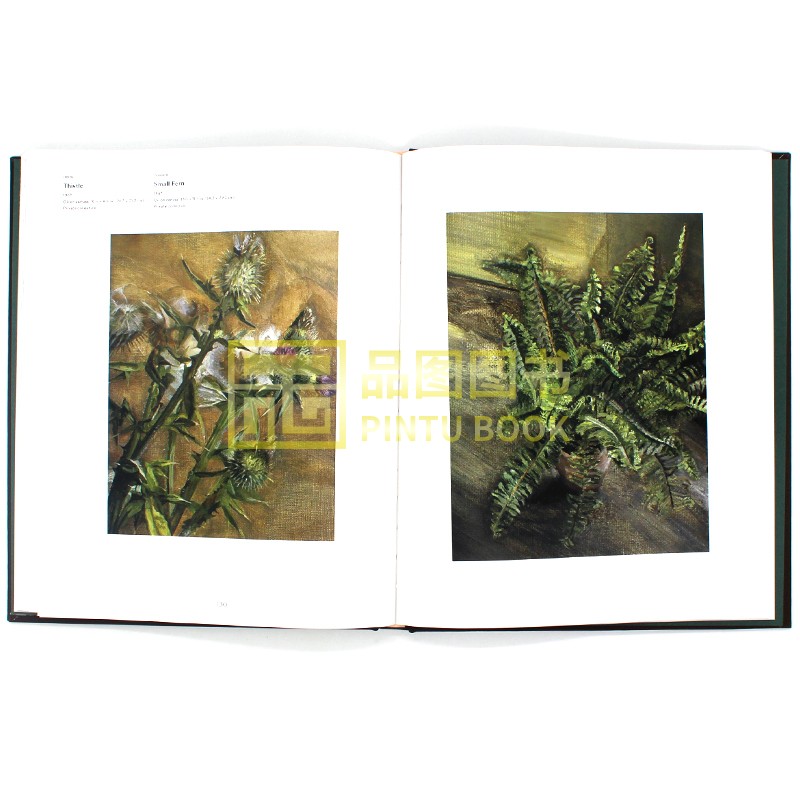 现货包邮 Lucian Freud Herbarium 卢西安·弗洛伊德画作 75幅植物标本作品画集 植物生命素描 精致写实主义手法 英文原版