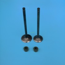 Portaire Passion Edition M1M3 annihilators 3D North Sea Pawn Guido Noble Pirates -3 Warwolf CB250F Head Machine Valves