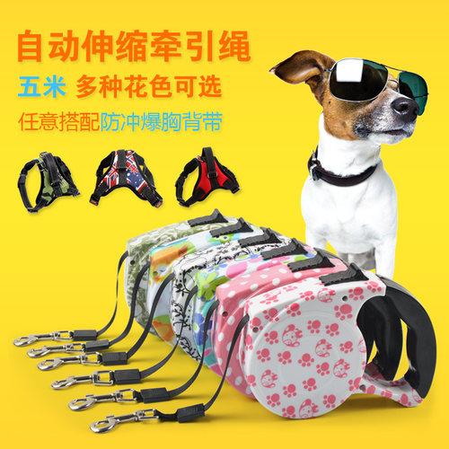 狗狗牵引绳自动伸缩5米背心式胸背带狗链子小型犬泰迪博美遛狗绳 - 图0