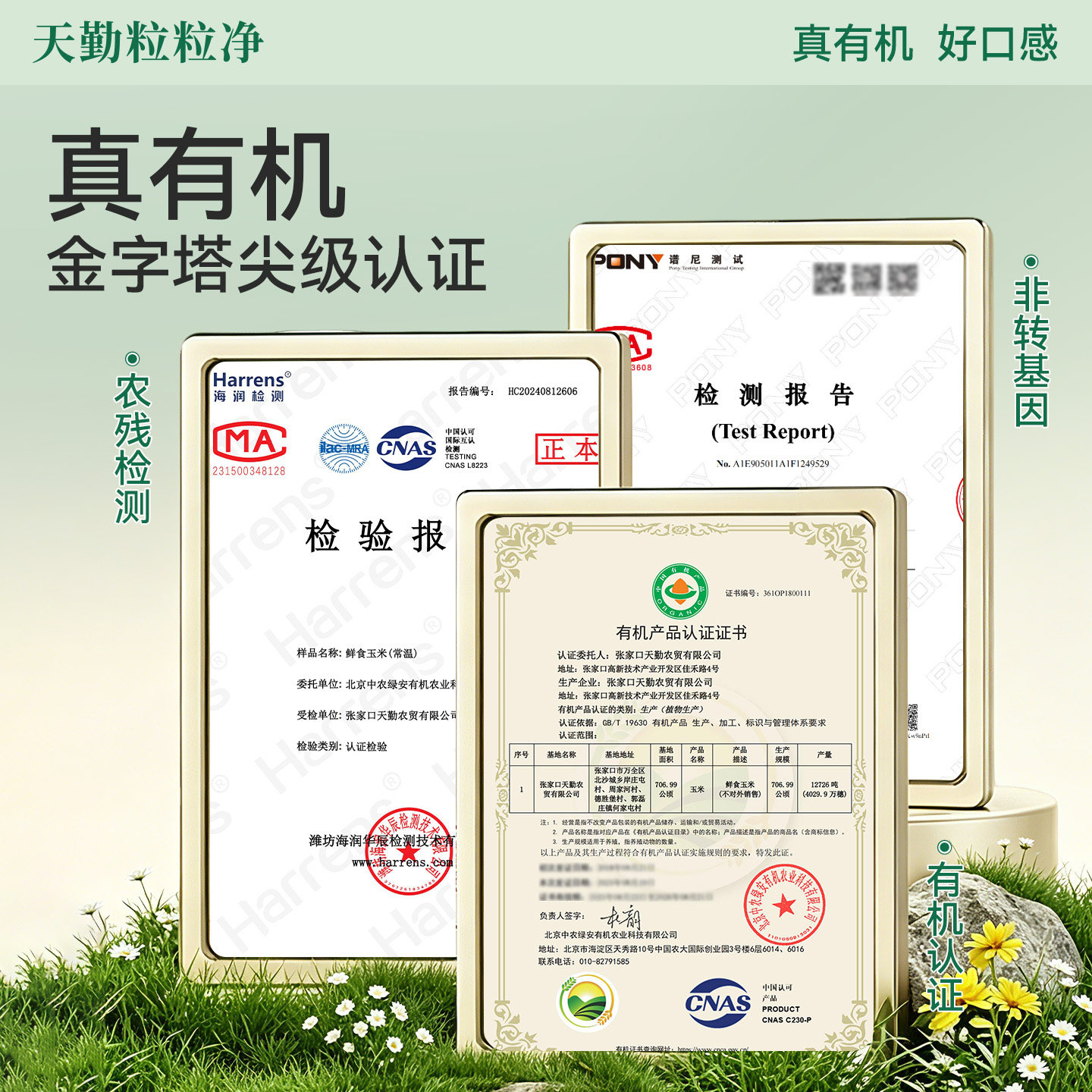 图5