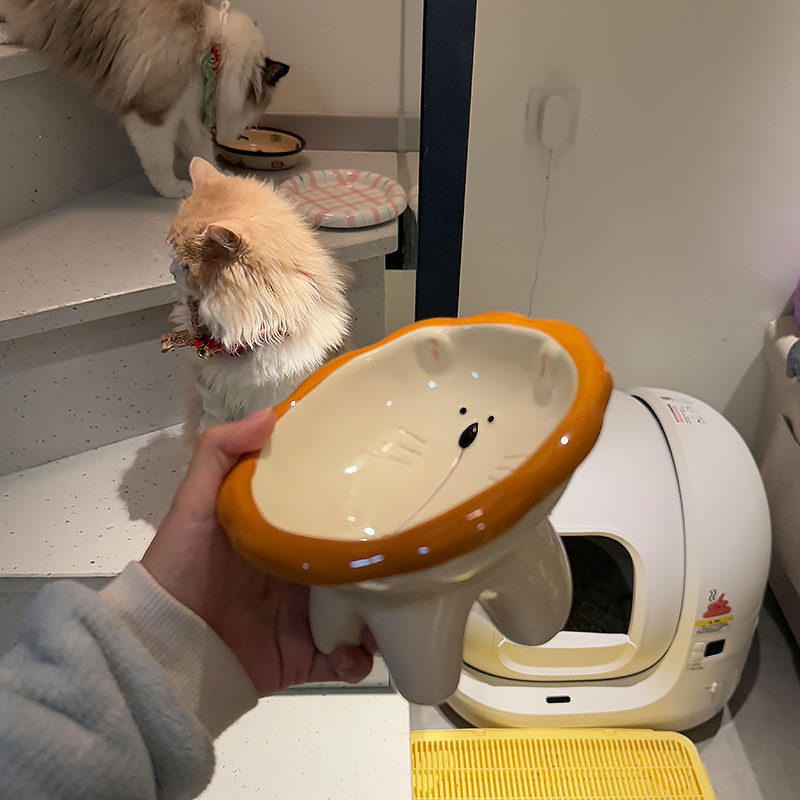 猫咪饭碗防打翻护脊防摔喝水碗猫粮碗陶瓷食盆可爱专用护颈斜口碗,淘宝优惠券,粉丝福利购,淘宝优惠卷