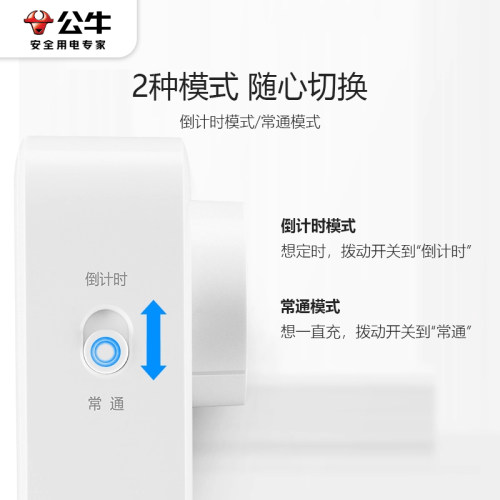 公牛定时器开关插座电动电瓶车充电倒计时2脚插孔自动断电智能 - 图1