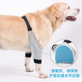 ДОБАВИТЬ ПЕРЕДНЯЯ ЗАПРОС ОБЩИЕ ПЕРЕКРЫВА