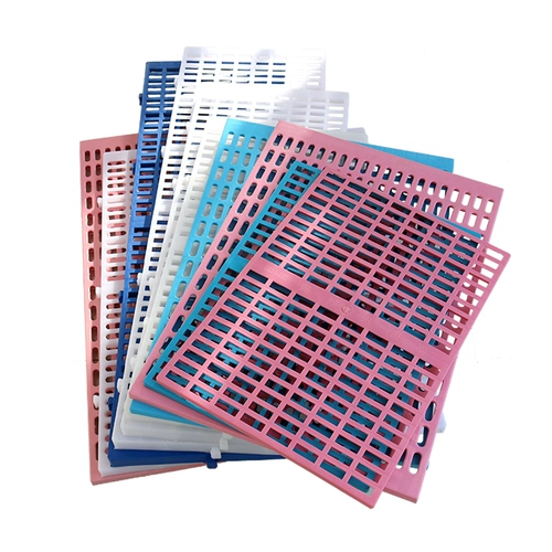 Dog Cage Cage Cash Disply Panelsed Pour Pet Pet Pour Board Dog Pold Pet Pet Product