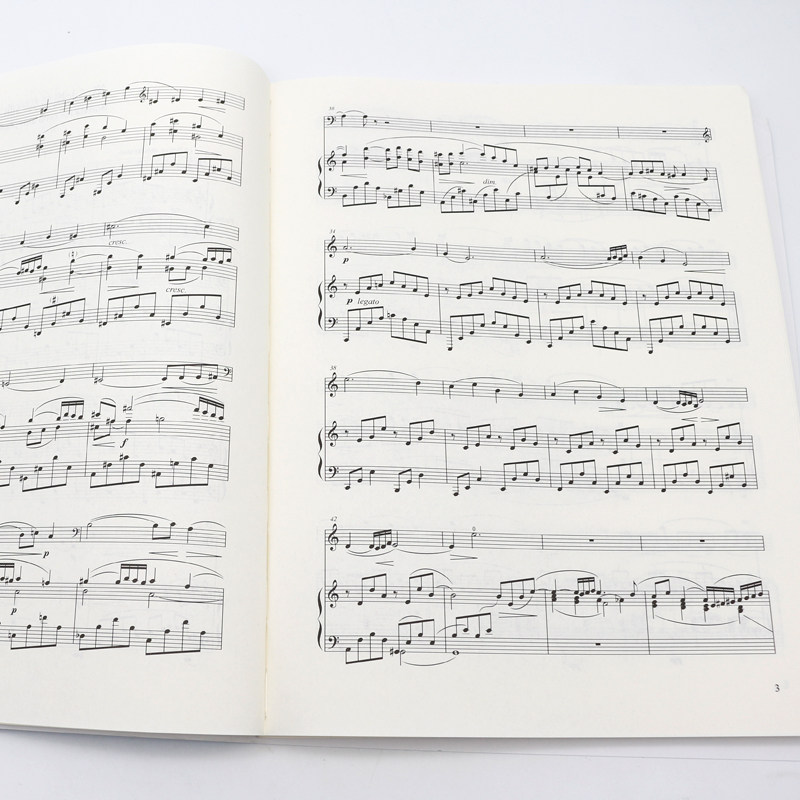 俄罗斯中小型精品选集入门大提琴 安徽文艺出版社音乐（新）