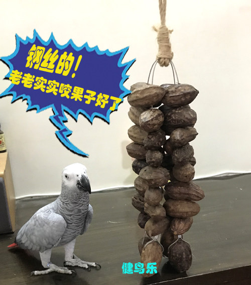 大中型鹦鹉耐啃咬玩具天然大野果串金葵折亚马宠物鸟用品,淘宝优惠券,粉丝福利购,淘宝优惠卷