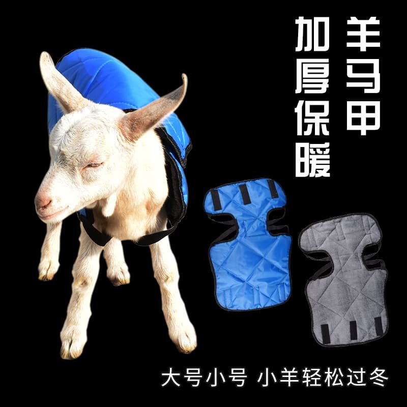 加厚新生小羊马甲保暖衣防寒护肚子羊羔马甲小羊羔衣服加绒保暖服,淘宝优惠券,粉丝福利购,淘宝优惠卷