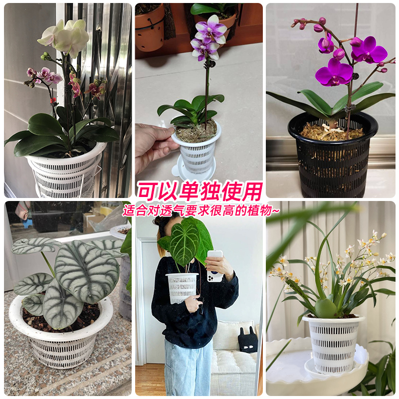 美莳水培花盆内篮塑料水养植物控根定植篮种植固定篮绿萝吊兰器皿 - 图3