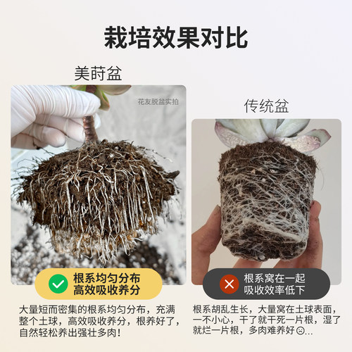 美莳多肉专用花盆小号白色树脂套装精致植物控根塑料架子底座托盘 - 图1